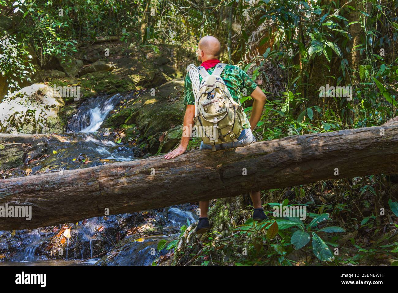 Tourist traveler with a backpack on a log in the jungle Stock Photo - Alamy