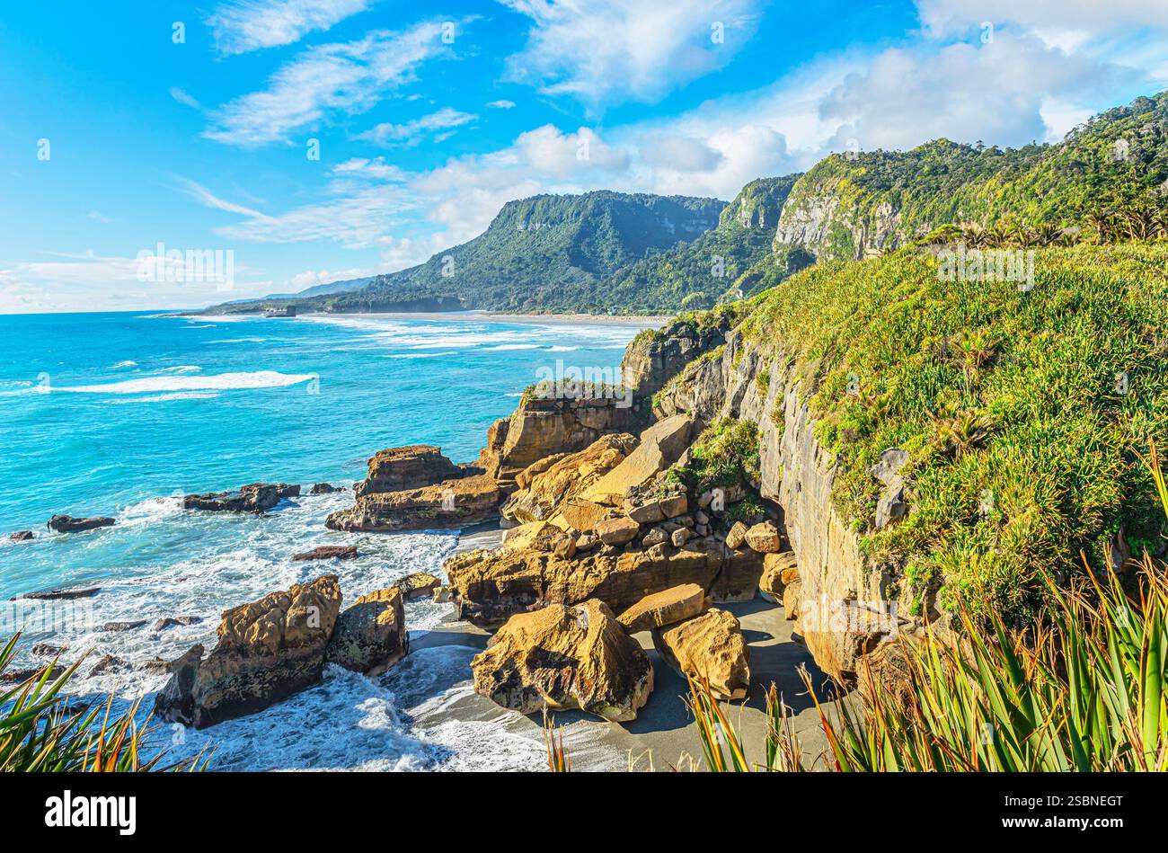 New Zealand South Island Punakaiki Coast Paparoa National Park Stock new-zealand-south-island-punakaiki-coast-paparoa-national-park-stock