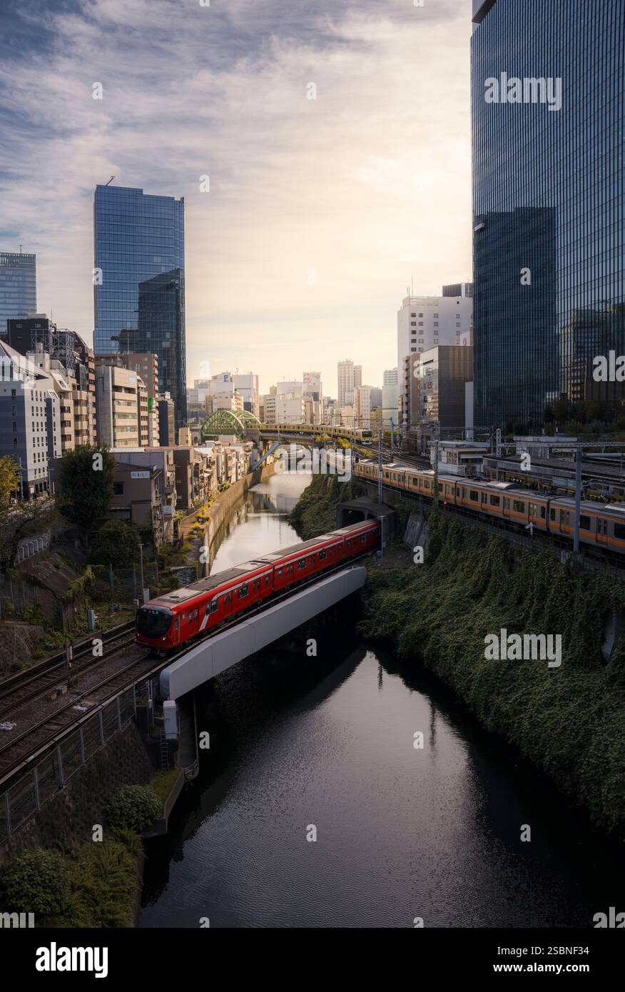 Maxsus xonada striptizchi bilan jinsiy aloqa Semiz yigitning eshagini yirtib tashlashdi