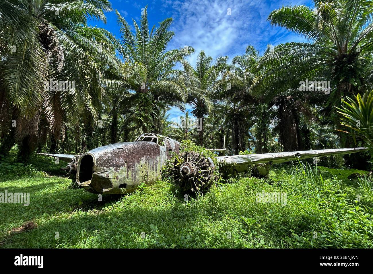 Ww2 Rusted Plane American B-25H bombers plane wreck from World War II in Talasea Forest ...