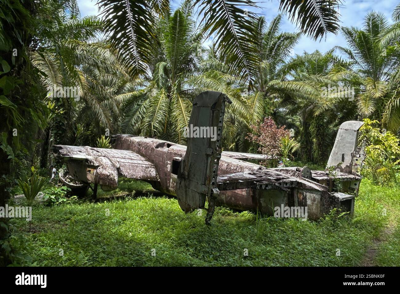Ww2 Rusted Plane American B-25H bombers plane wreck from World War II in Talasea Forest ...