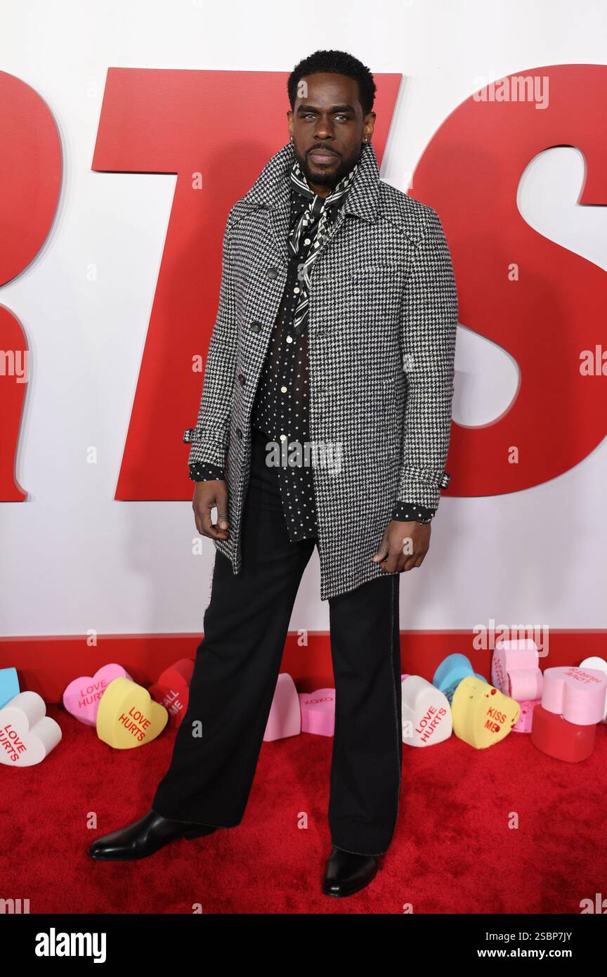 HOLLYWOOD, CA February 03 Linda Phan, Drew Scott at the Premiere Of