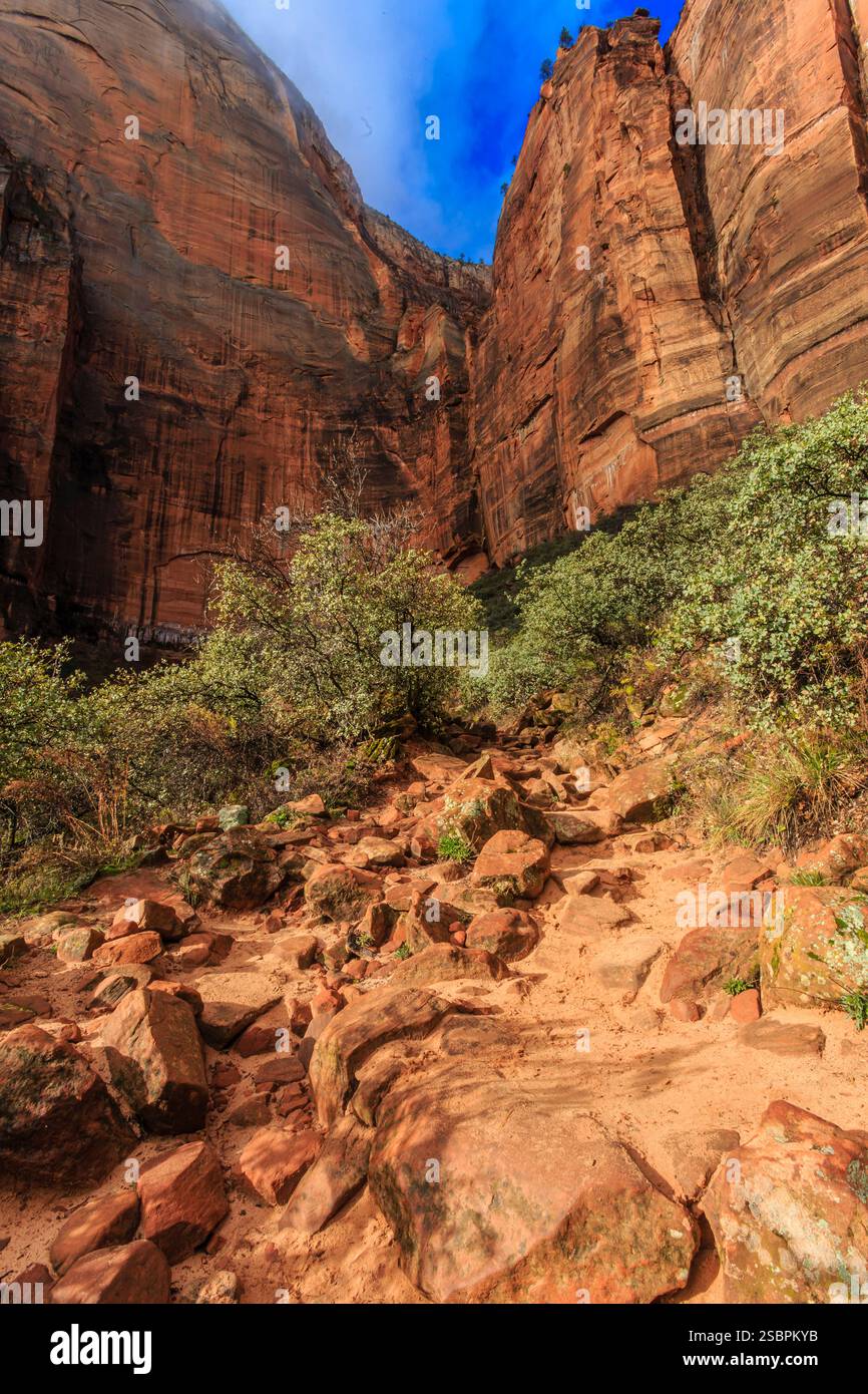 Straith Rocks Path Rocky path with a tree on the side. The path is rocky and has a lot of ...