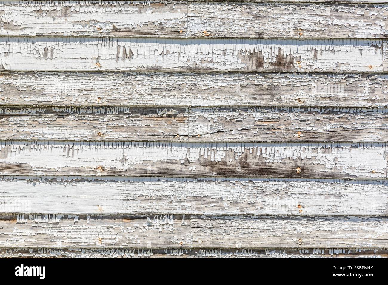 White wooden wall with a lot of peeling paint. The wall is made of wood ...
