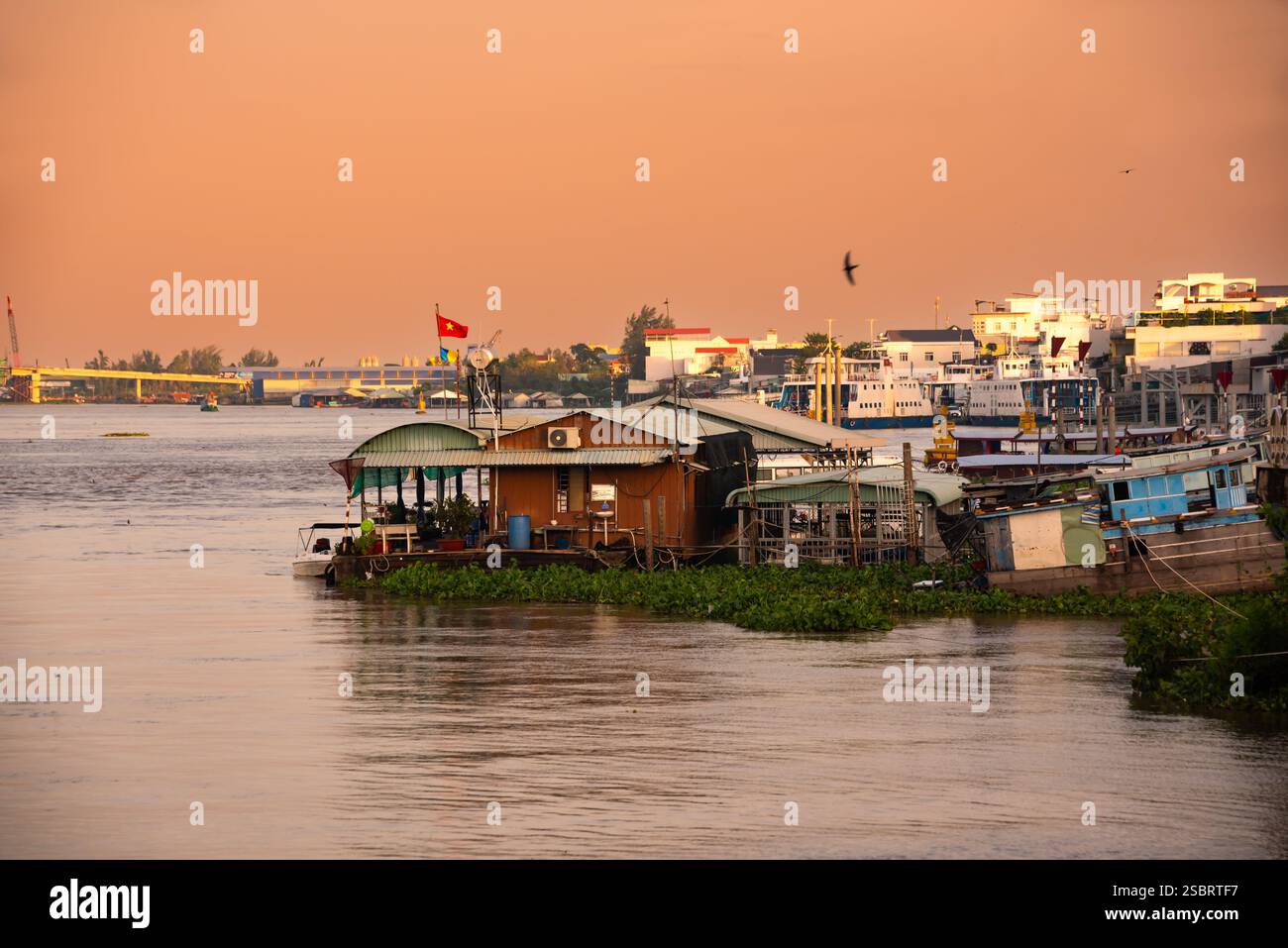 Mekong river side village in Vietnam on sunset Stock Photo - Alamy