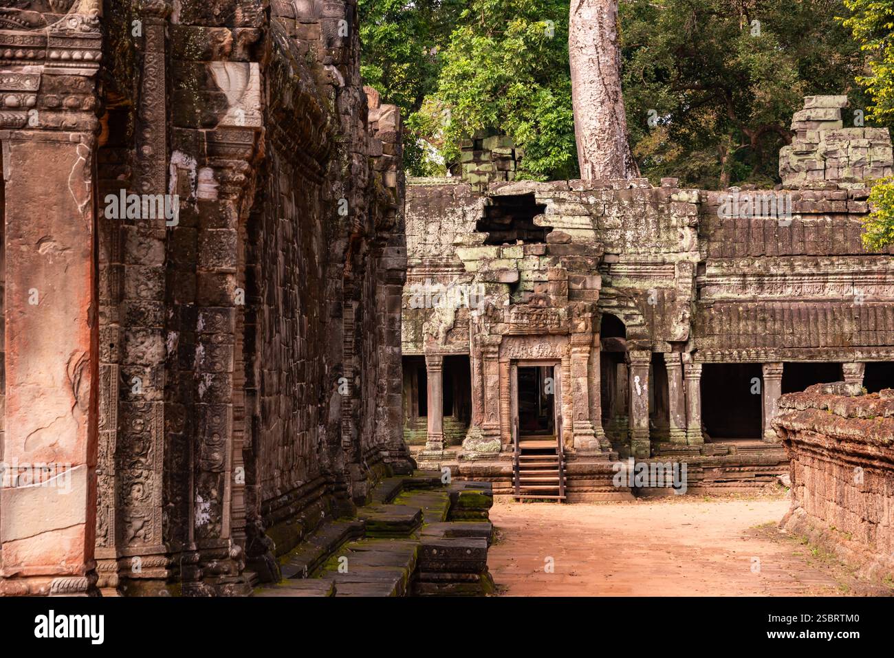 angkor-ancient-temple-ruins-in-cambodia-stock-photo-alamy