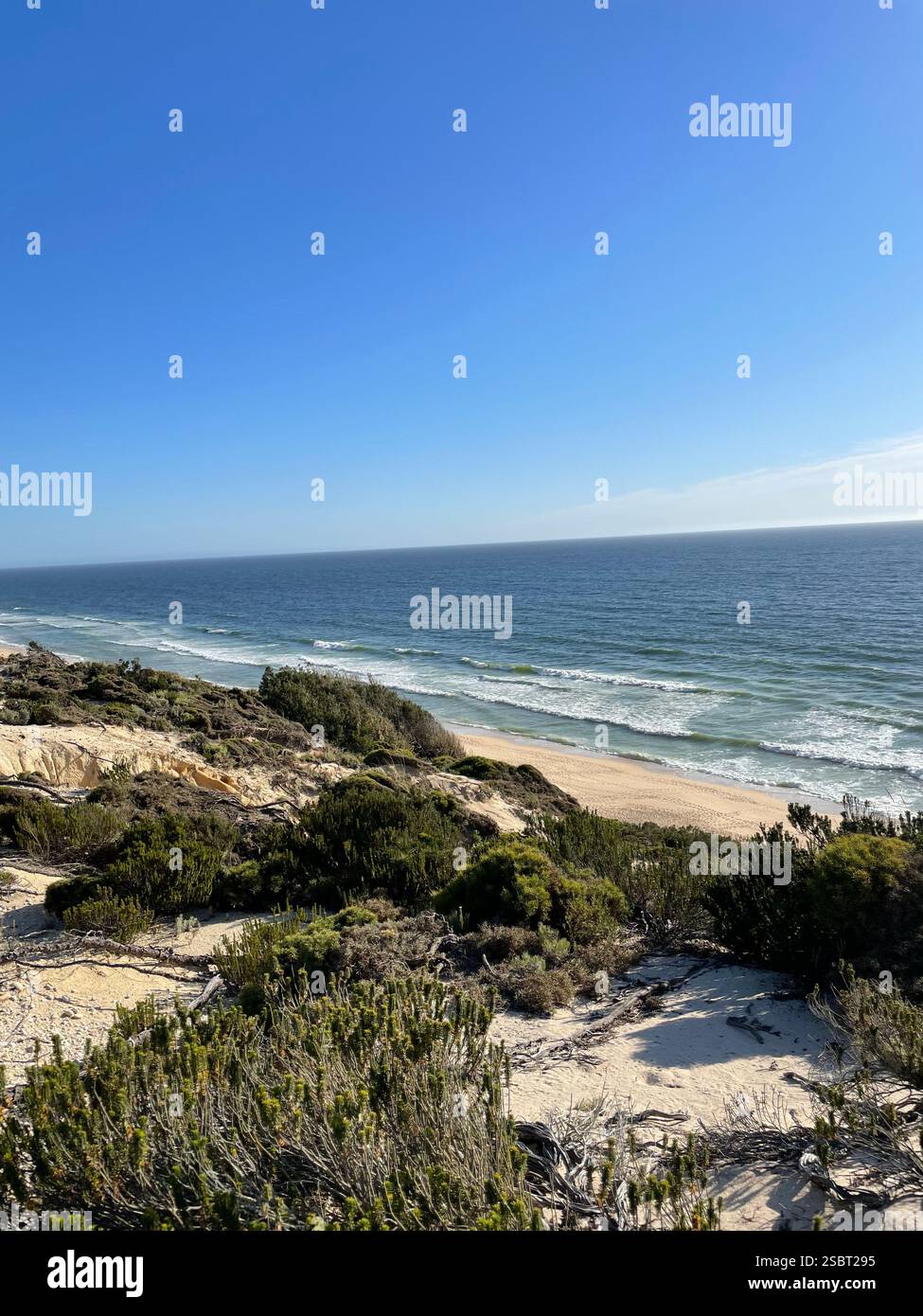 Arriba Fóssil da Galé - Smartphone Captured Stock Image