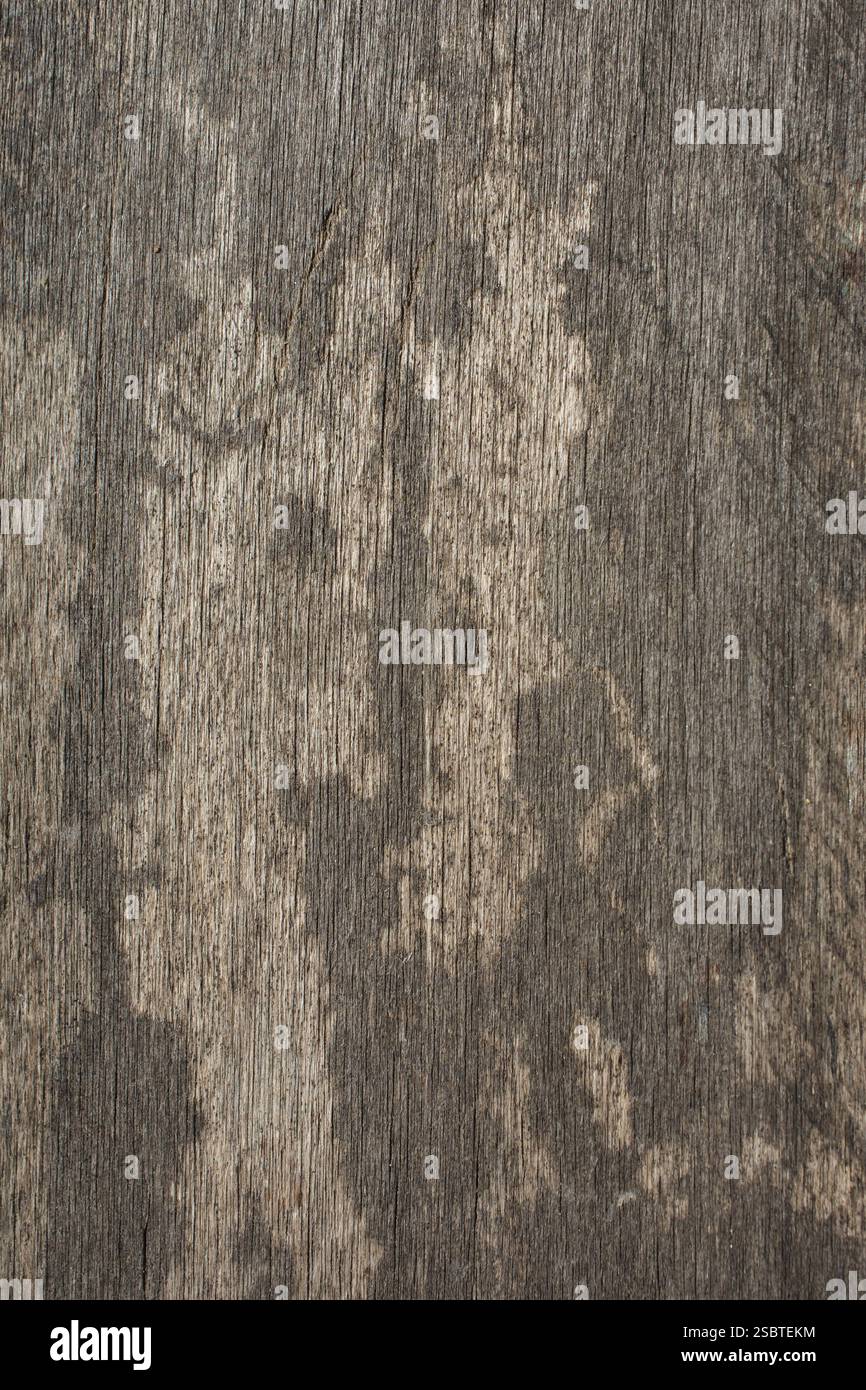 Vintage rustic pattern background on wooden planks Stock Photo