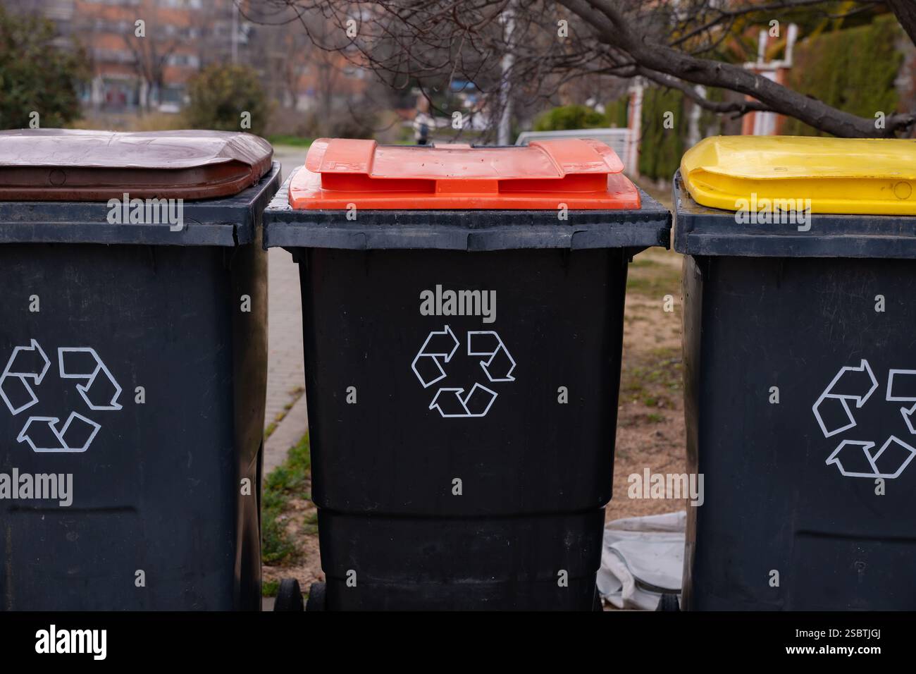 Colorful Recycling Bins for Sustainable Living Stock Photo