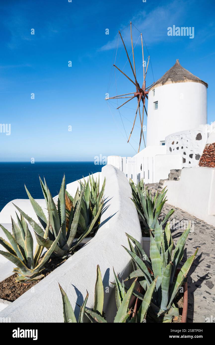Agave mediterranean sea coast hi-res stock photography and images - Alamy
