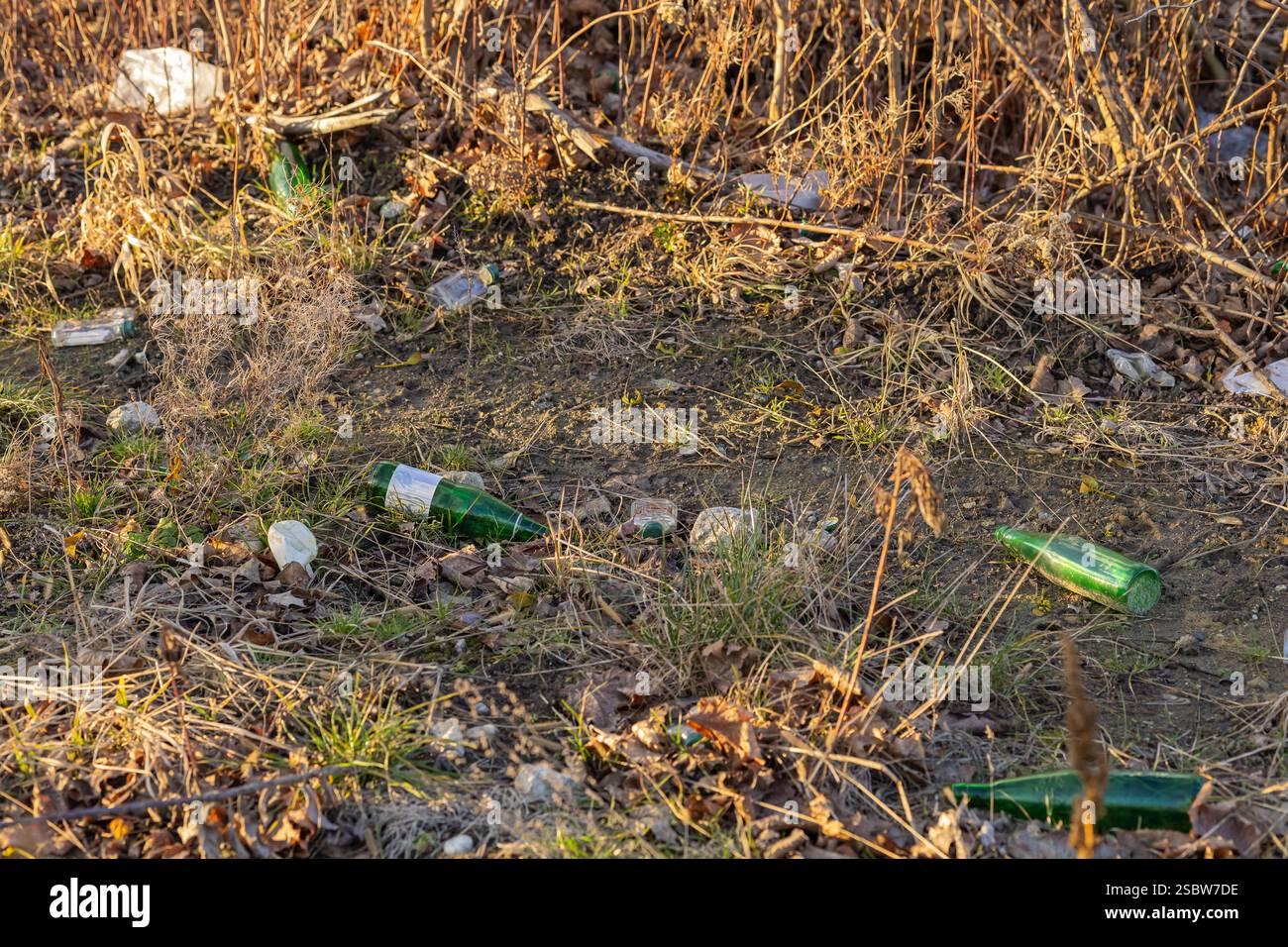 Environmental pollution with scattered glass bottles and plastic waste ...