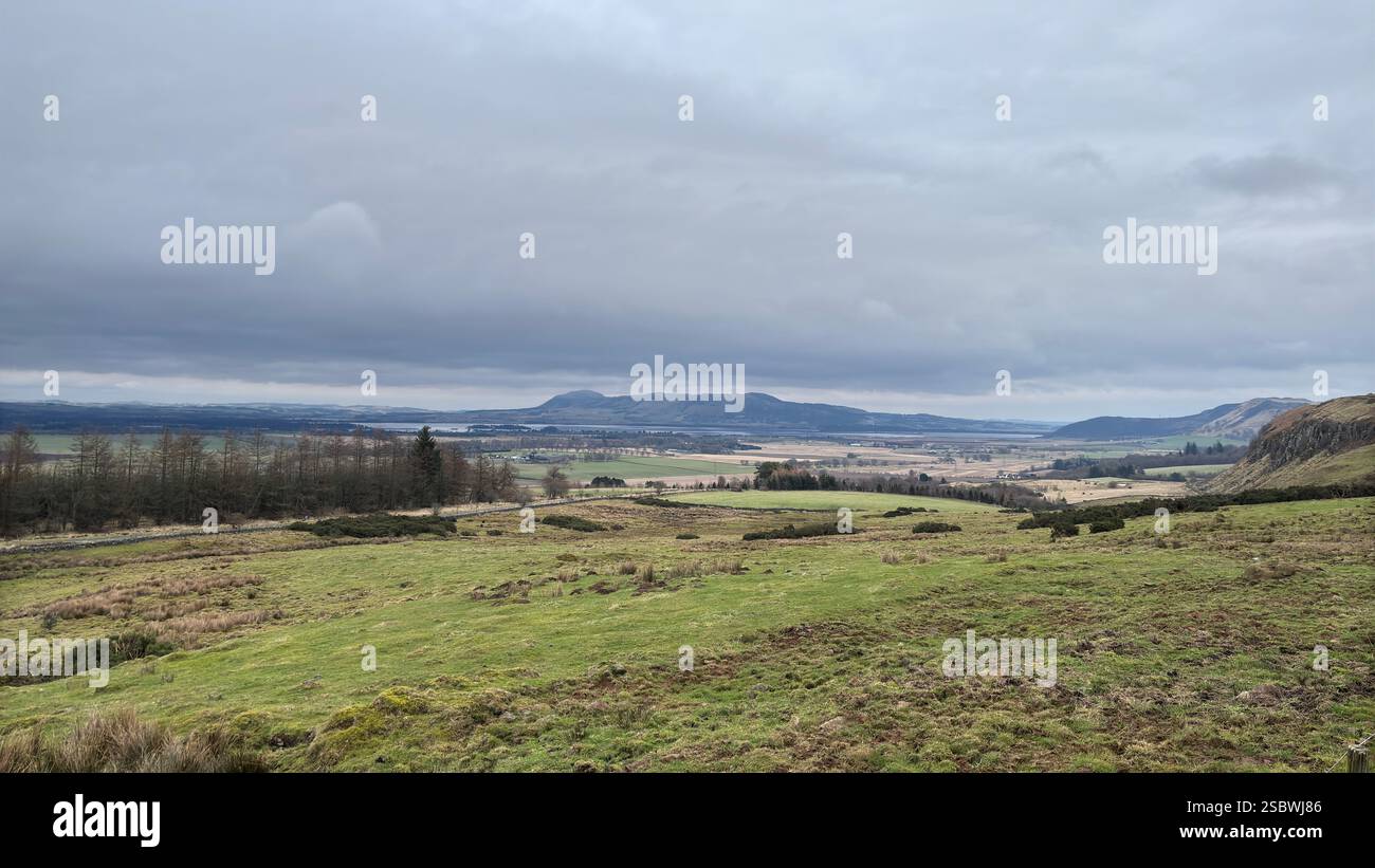 Rolling Scottish countryside with grassland and tall pine trees on an overcast moody day with clouds. Mountains and glens - Smartphone Captured Stock Image