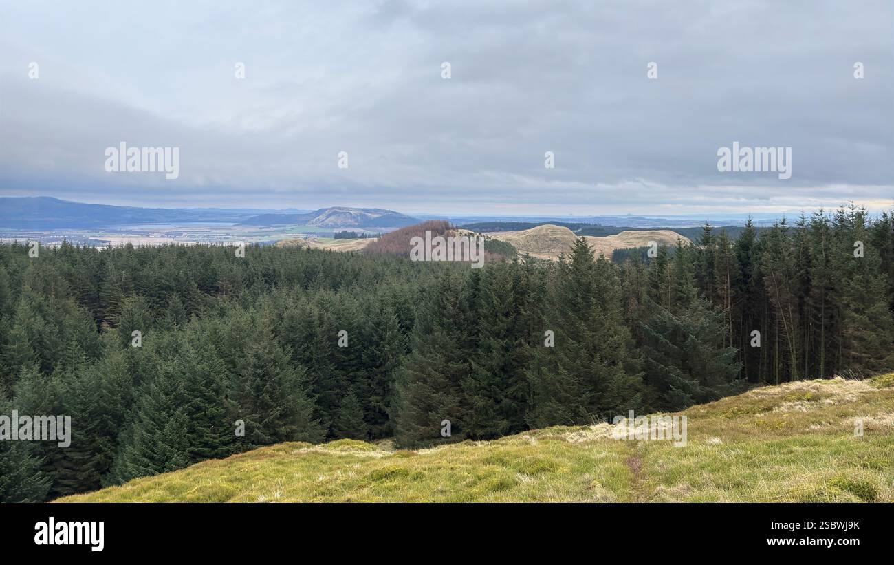 Rolling Scottish countryside with grassland and tall pine trees on an overcast moody day with clouds. Mountains and glens - Smartphone Captured Stock Image