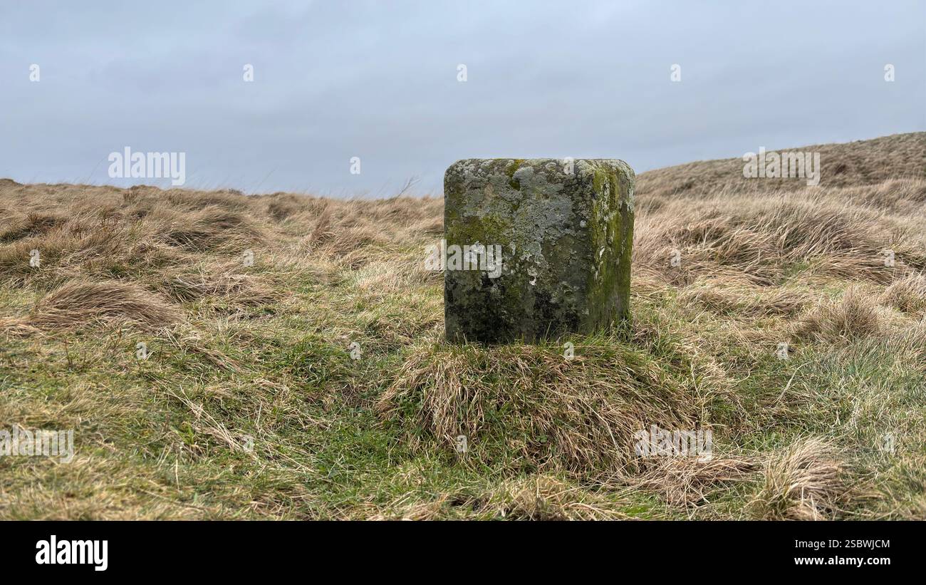 Ancient Scottish stone way marker in the moorlands of Scotland in the Highlands. Grassland - Smartphone Captured Stock Image