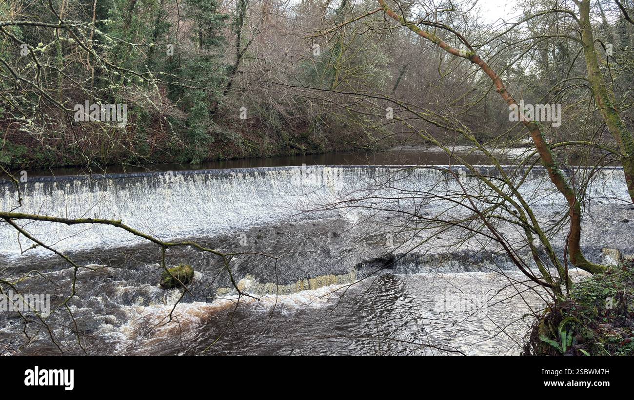 The Water of Leith river in central Scotland. Waterway with walk along side. Runs through the centre of Edinburgh. - Smartphone Captured Stock Image