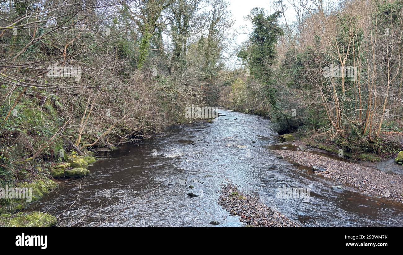 The Water of Leith river in central Scotland. Waterway with walk along side. Runs through the centre of Edinburgh. - Smartphone Captured Stock Image