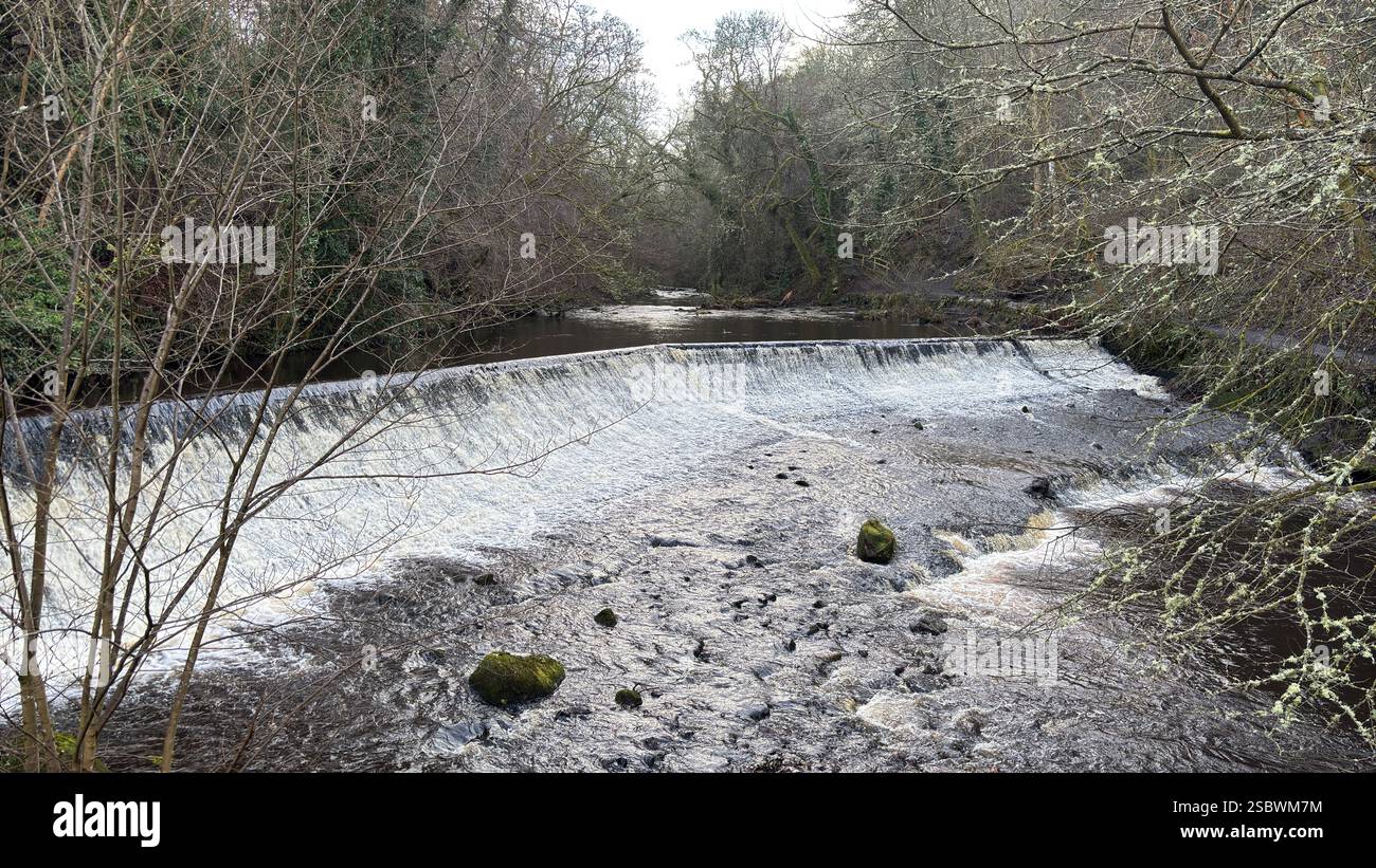 The Water of Leith river in central Scotland. Waterway with walk along side. Runs through the centre of Edinburgh. - Smartphone Captured Stock Image