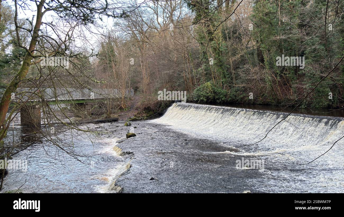 The Water of Leith river in central Scotland. Waterway with walk along side. Runs through the centre of Edinburgh. - Smartphone Captured Stock Image