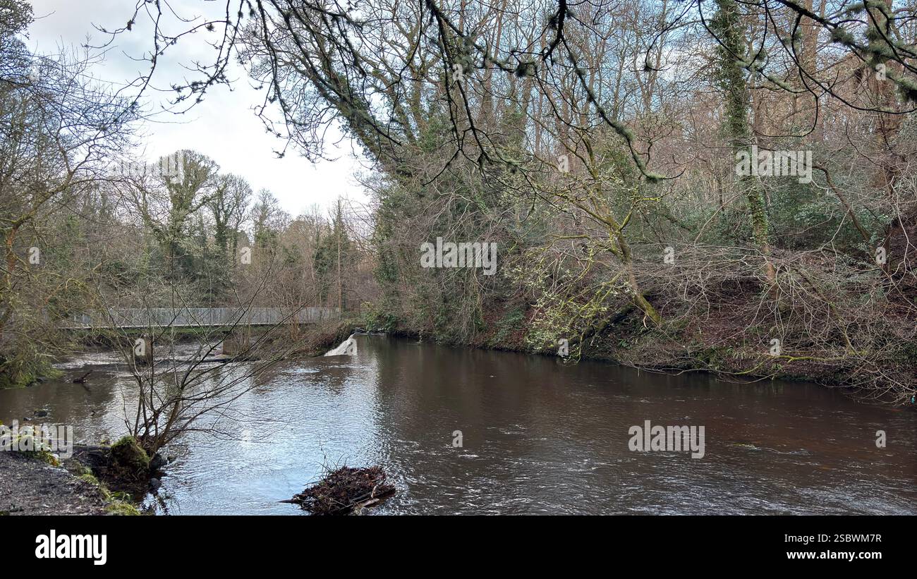 The Water of Leith river in central Scotland. Waterway with walk along side. Runs through the centre of Edinburgh. - Smartphone Captured Stock Image