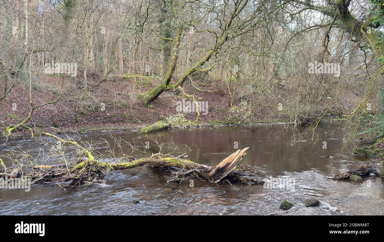 The Water of Leith river in central Scotland. Waterway with walk along side. Runs through the centre of Edinburgh. - Smartphone Captured Stock Image