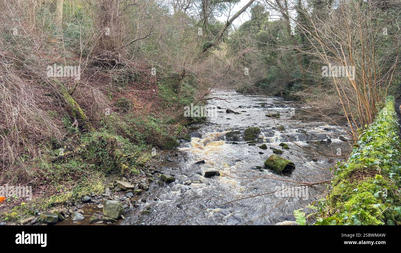 The Water of Leith river in central Scotland. Waterway with walk along side. Runs through the centre of Edinburgh. - Smartphone Captured Stock Image