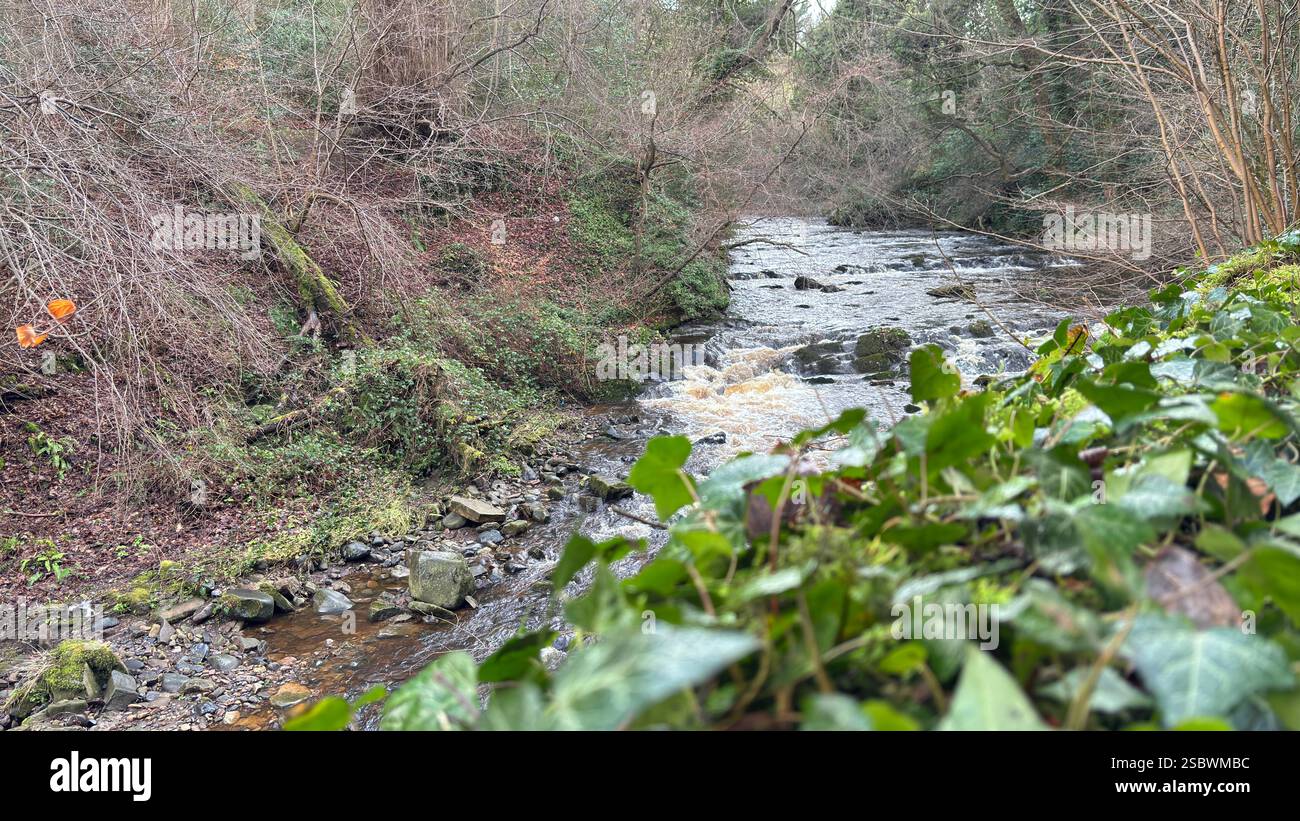 The Water of Leith river in central Scotland. Waterway with walk along side. Runs through the centre of Edinburgh. - Smartphone Captured Stock Image