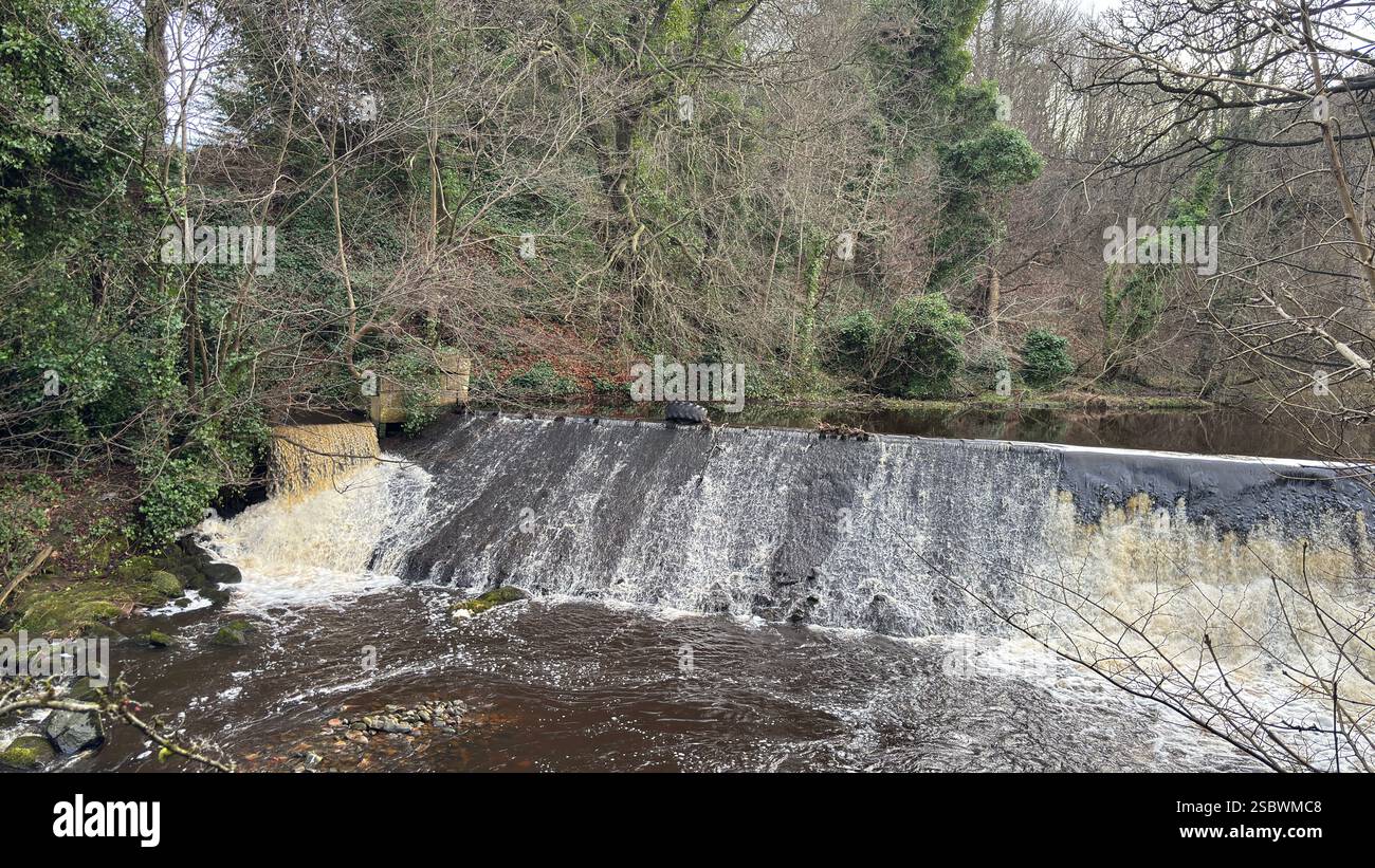The Water of Leith river in central Scotland. Waterway with walk along side. Runs through the centre of Edinburgh. - Smartphone Captured Stock Image