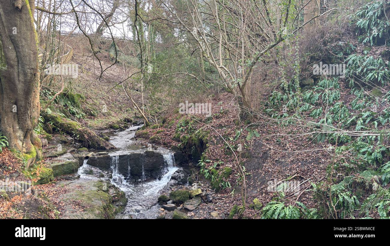 The Water of Leith river in central Scotland. Waterway with walk along side. Runs through the centre of Edinburgh. - Smartphone Captured Stock Image