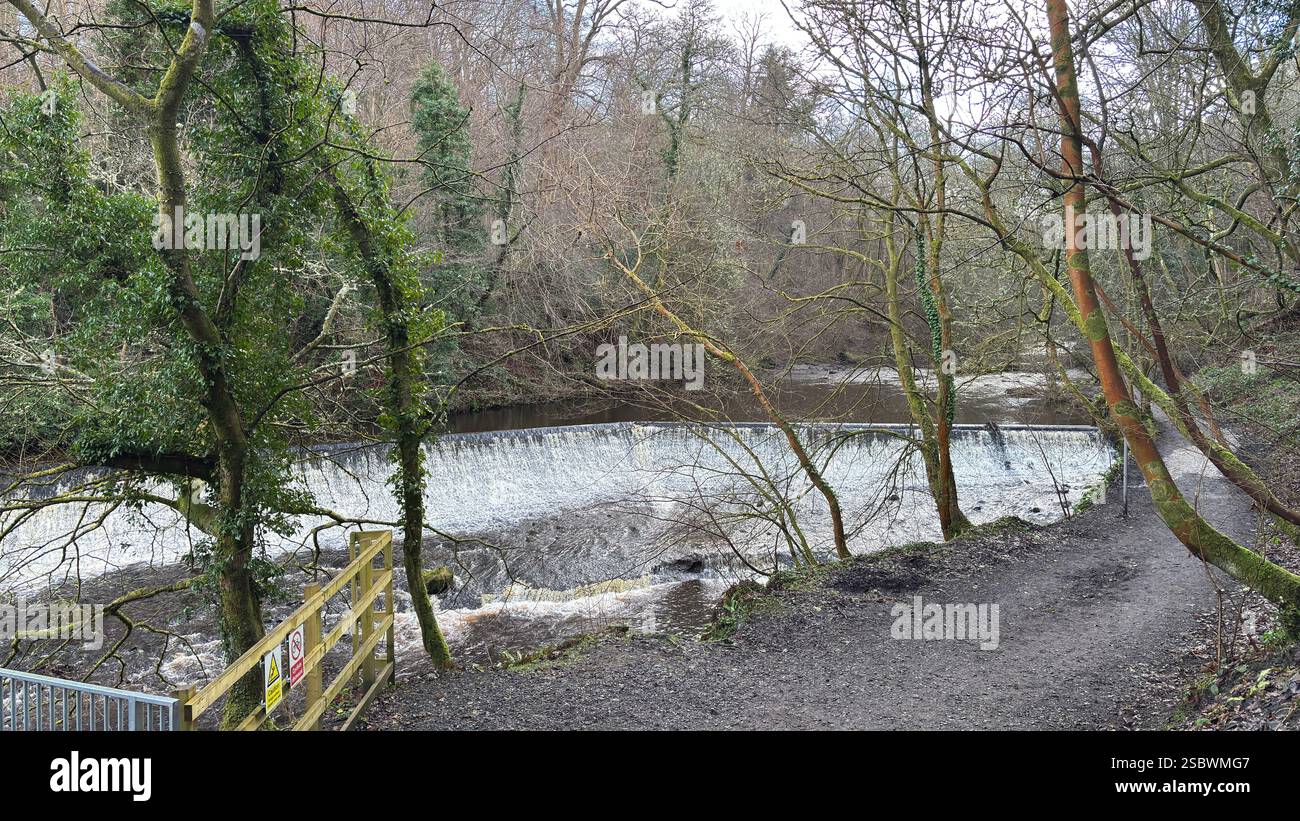 The Water of Leith river in central Scotland. Waterway with walk along side. Runs through the centre of Edinburgh. - Smartphone Captured Stock Image