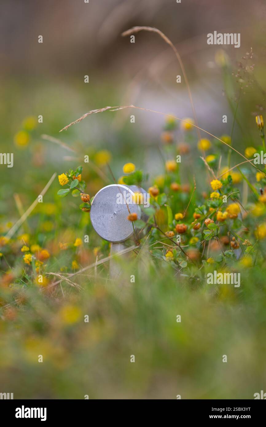 Metal border marking pole in tall grass Stock Photo
