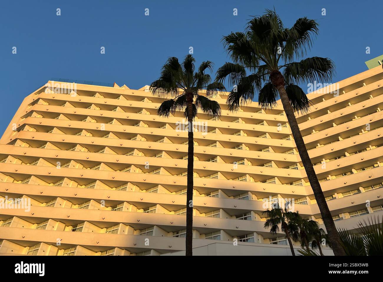 Tall Palm Trees in front of the Iberostar Waves Bouganville Playa Hotel. Costa Adeje, Tenerife, Canary Islands, Spain. 14th January 2025. - Smartphone Captured Stock Image