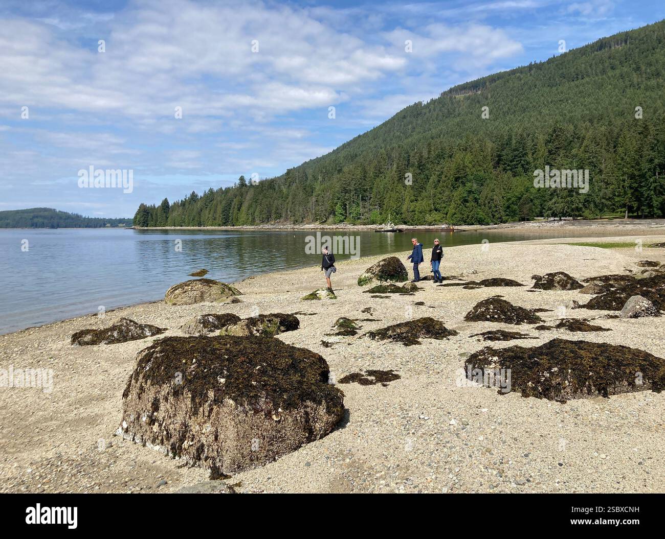 Inland Lake Provincial Park, Powell River, Sunshine Coast, British Columbia, Canada - Smartphone Captured Stock Image