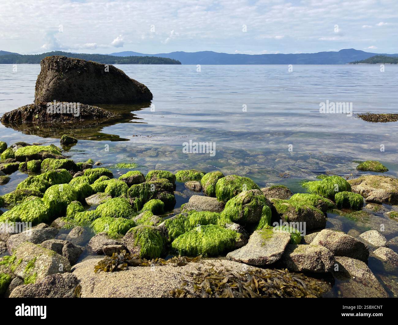 Inland Lake Provincial Park, Powell River, Sunshine Coast, British Columbia, Canada - Smartphone Captured Stock Image
