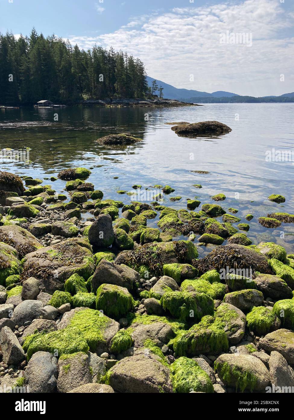 Inland Lake Provincial Park, Powell River, Sunshine Coast, British Columbia, Canada - Smartphone Captured Stock Image