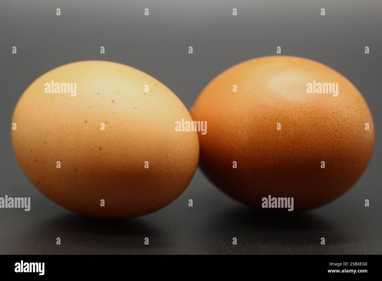 Two large brown eggs isolated on a dark background Stock Photo
