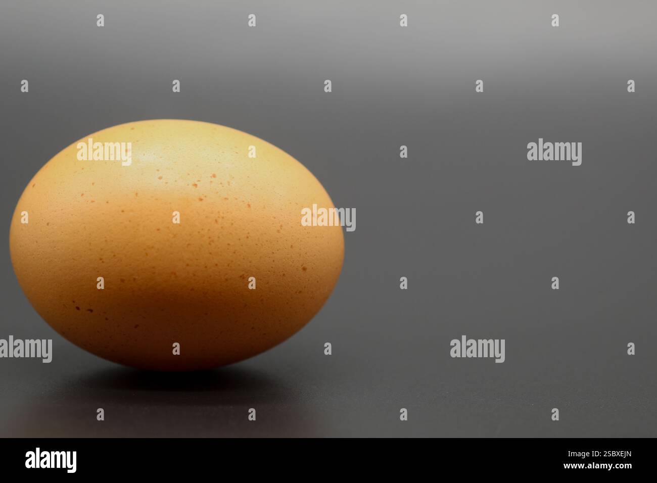 A single large brown egg isolated on a dark background Stock Photo