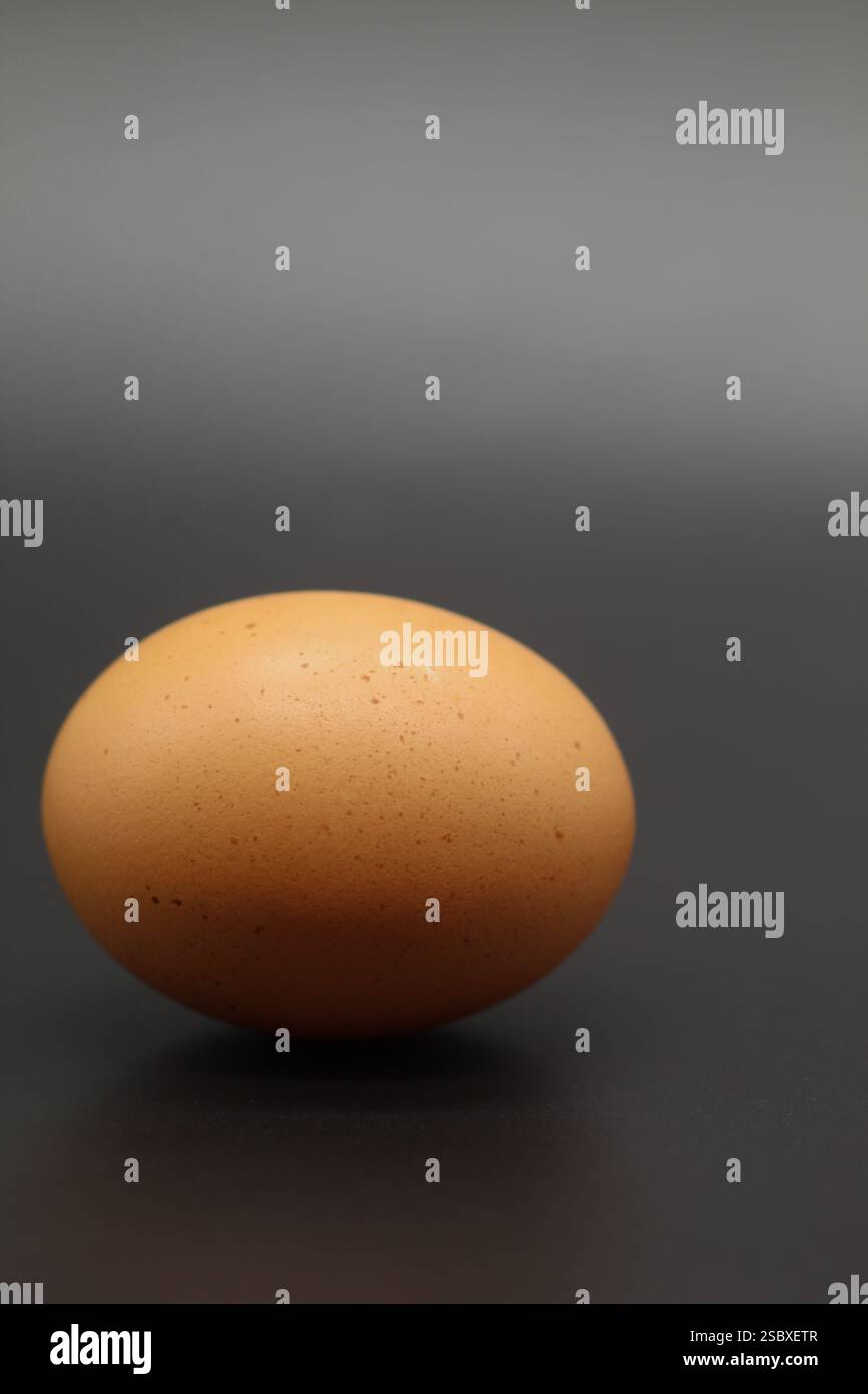 A single large brown egg isolated on a dark background Stock Photo