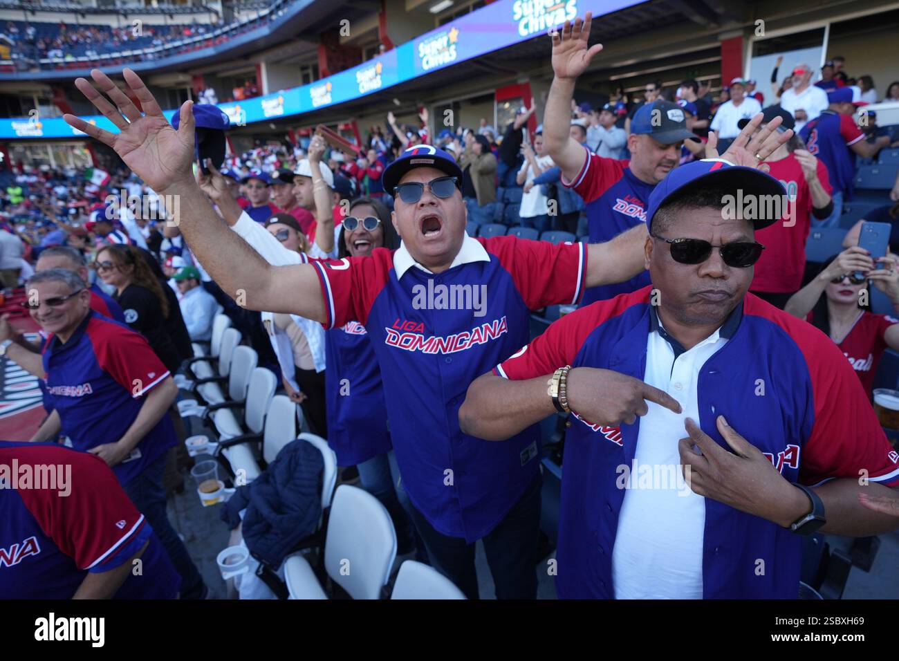 Dominican Republic baseball fans cheer for their team during a