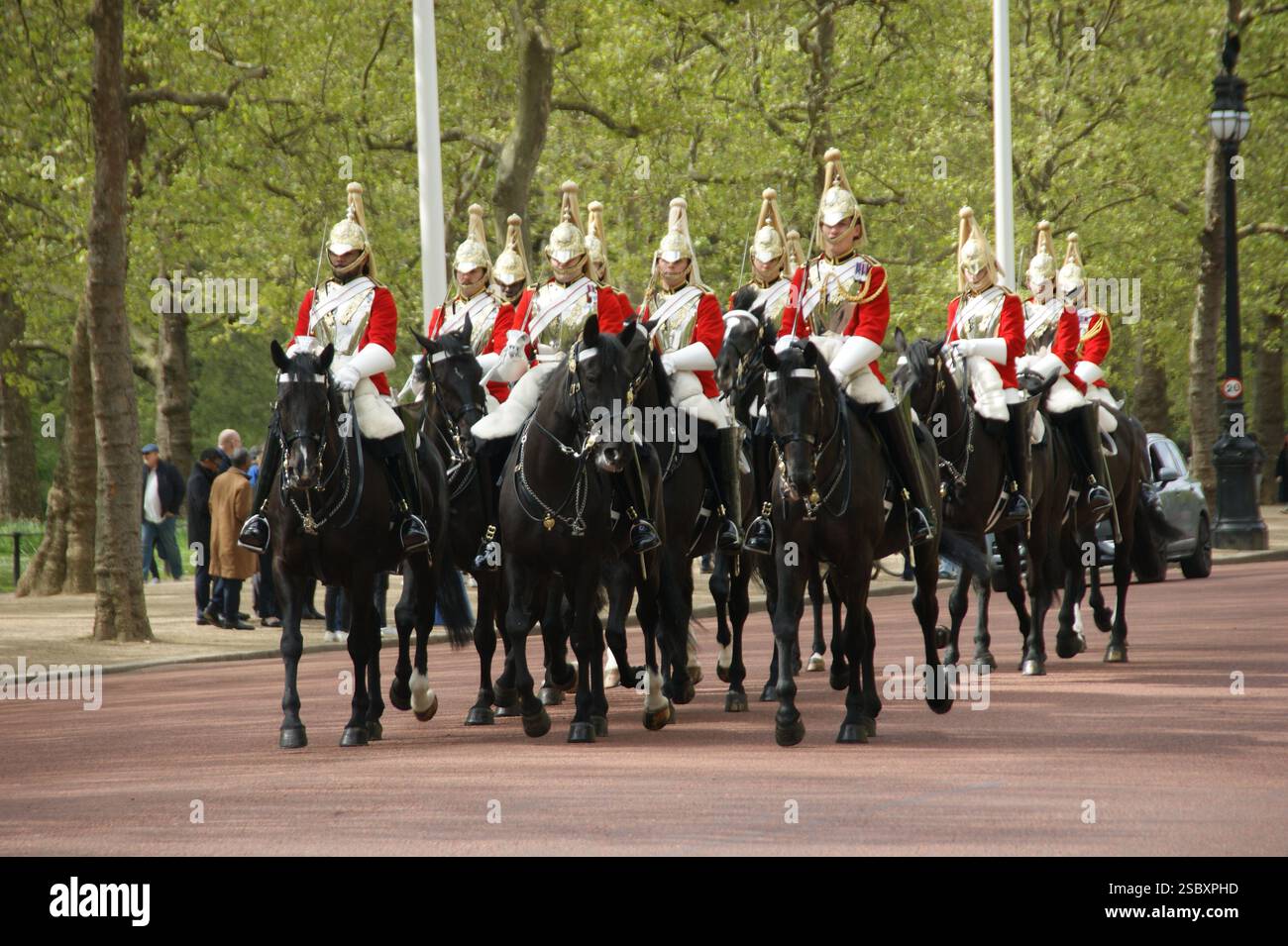 A close-up photo of The Queen's Life Guards at St. James'Park, London Stock Photo