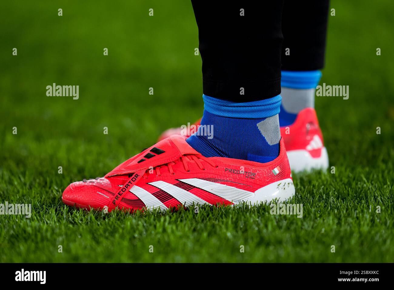 Adidas predator hi-res stock photography and images - Alamy