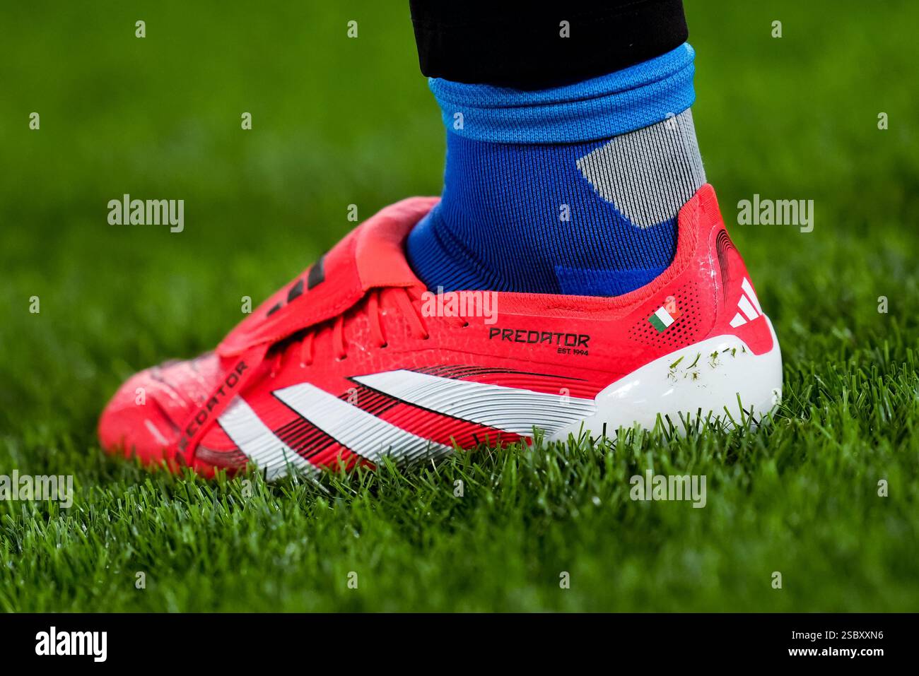 Rome, Italy. 02nd Feb, 2025. Detailed view of Adidas Predator boots of ...