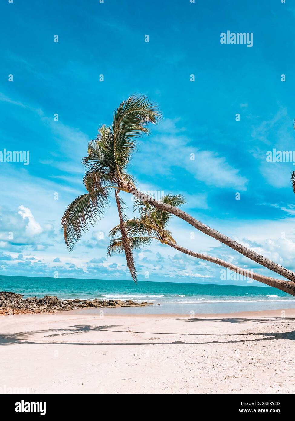 Paradise vibes?☀️ Crystal-clear sky, golden sand, and the soothing sound of waves. Who else loves tropical escapes? - Smartphone Captured Stock Image