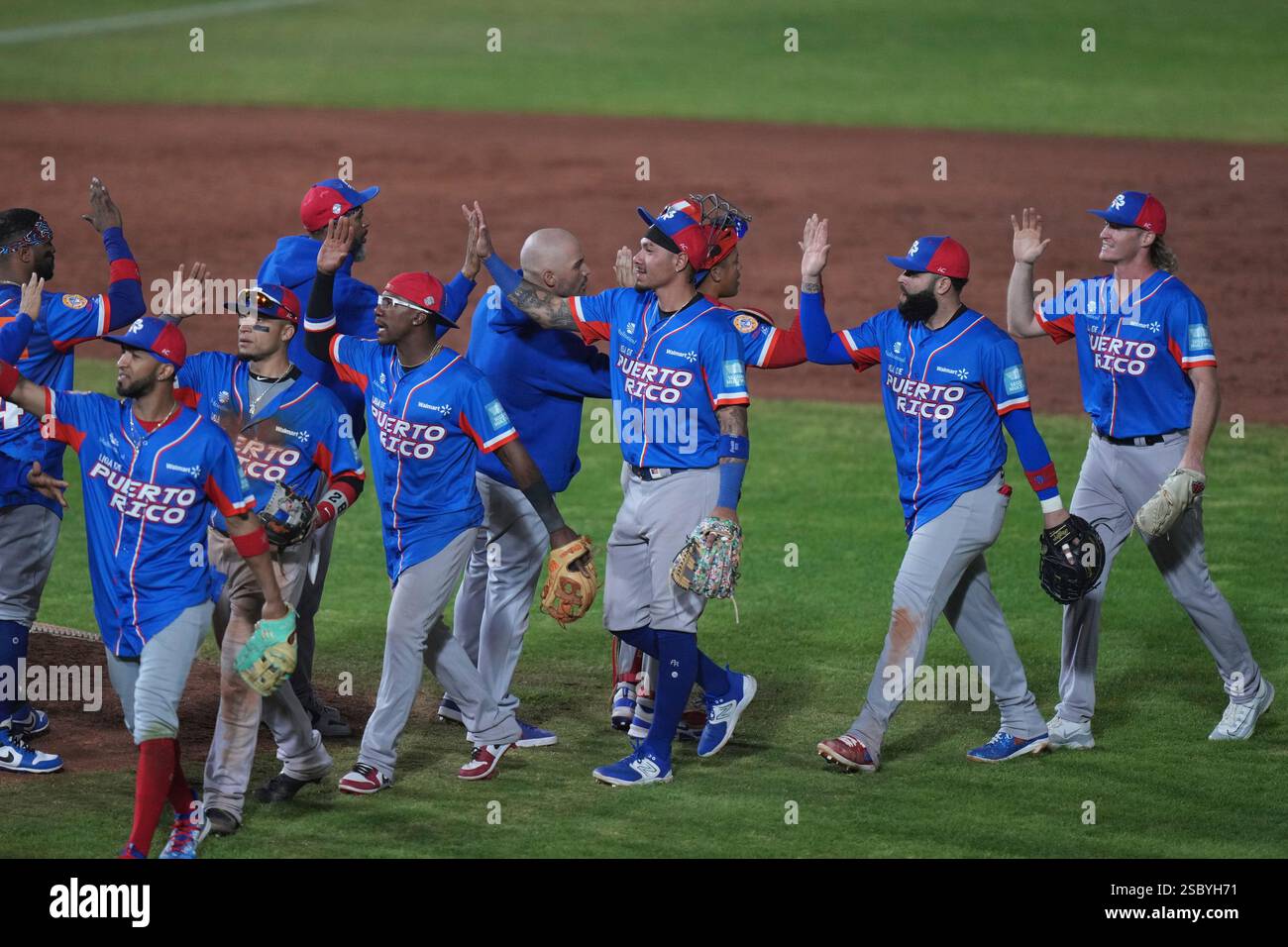 Puerto Rico players celebrate after a Caribbean Series baseball game