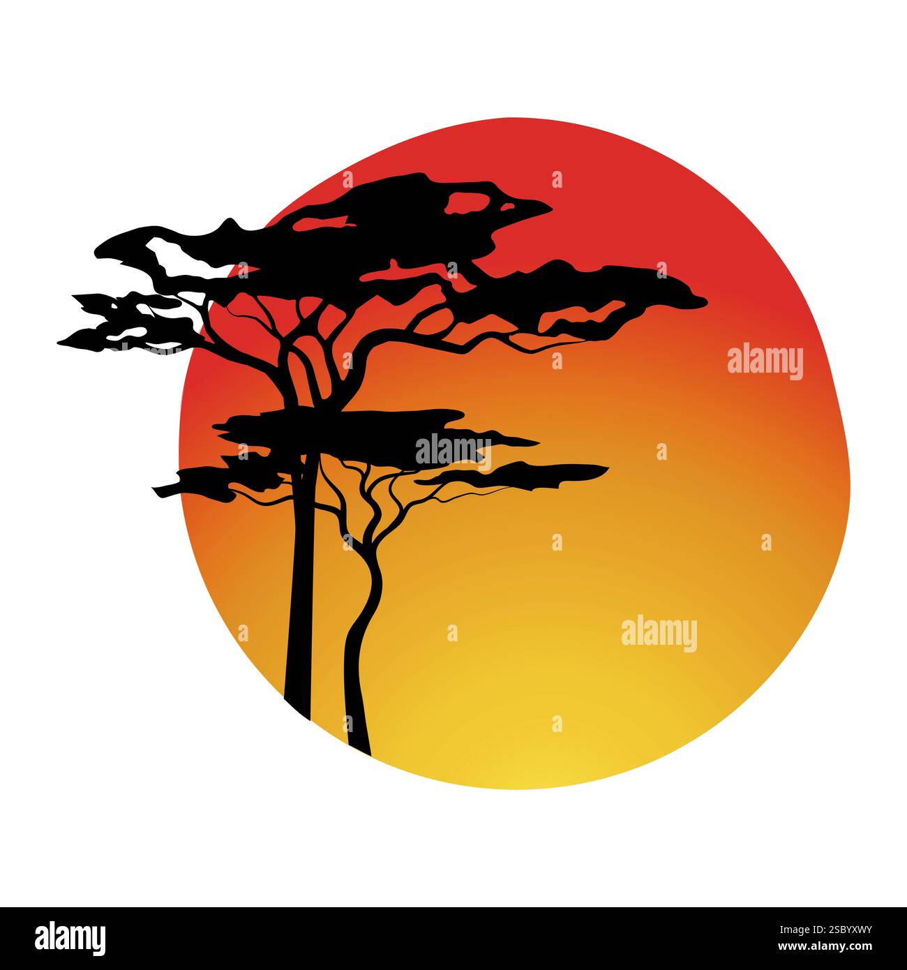 Sequoia tree over the sunset. African theme - 3 Stock Photo