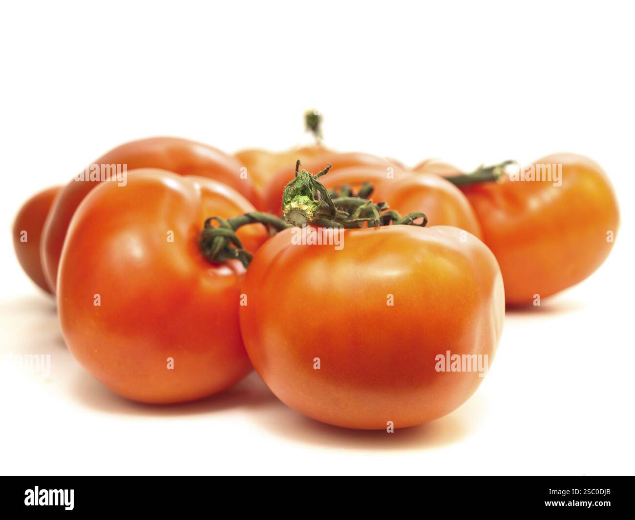 Red tomatoes vine against the white background Stock Photo - Alamy