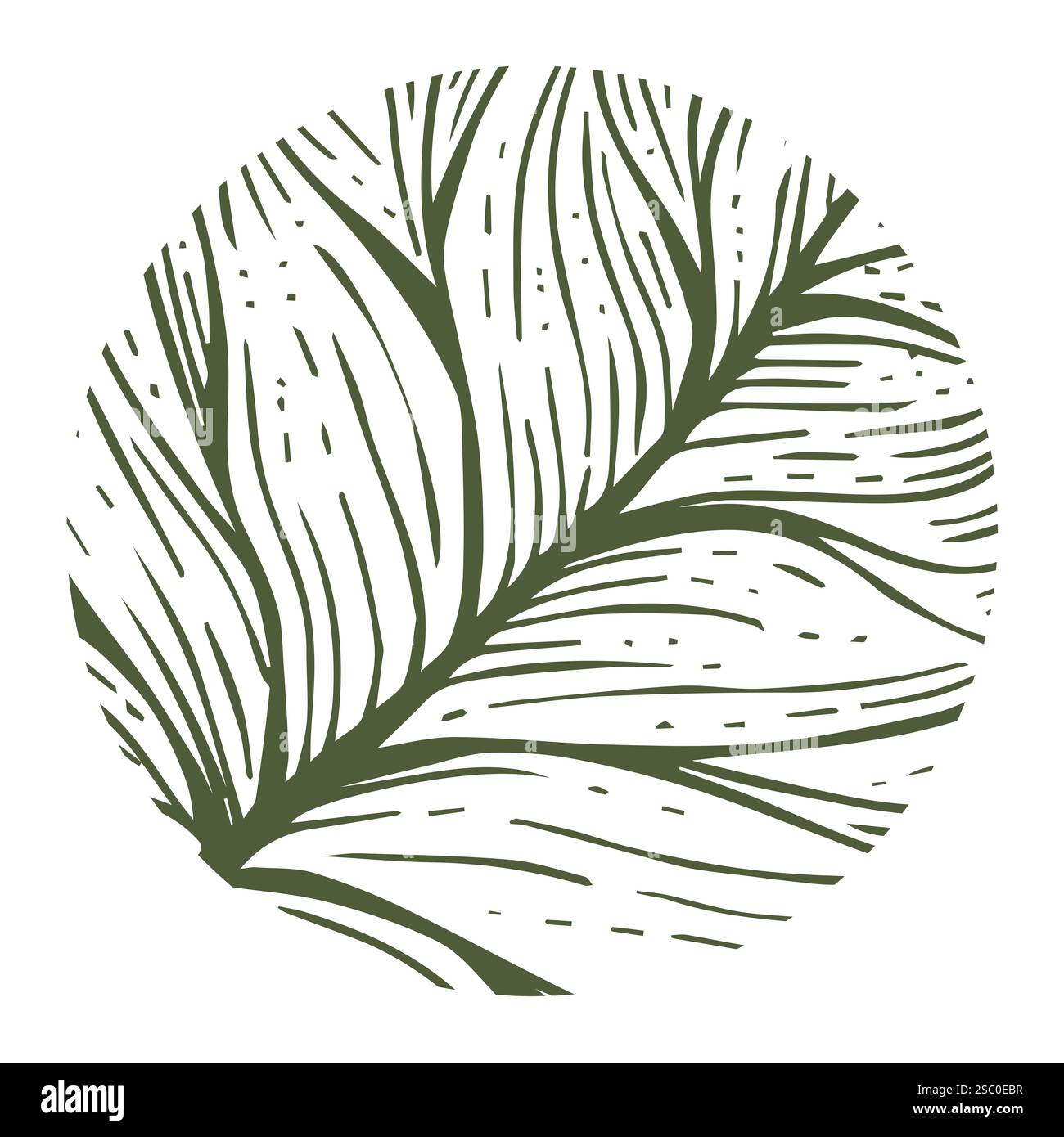 Abstract eco theme, circle with leaf veins over white Stock Photo