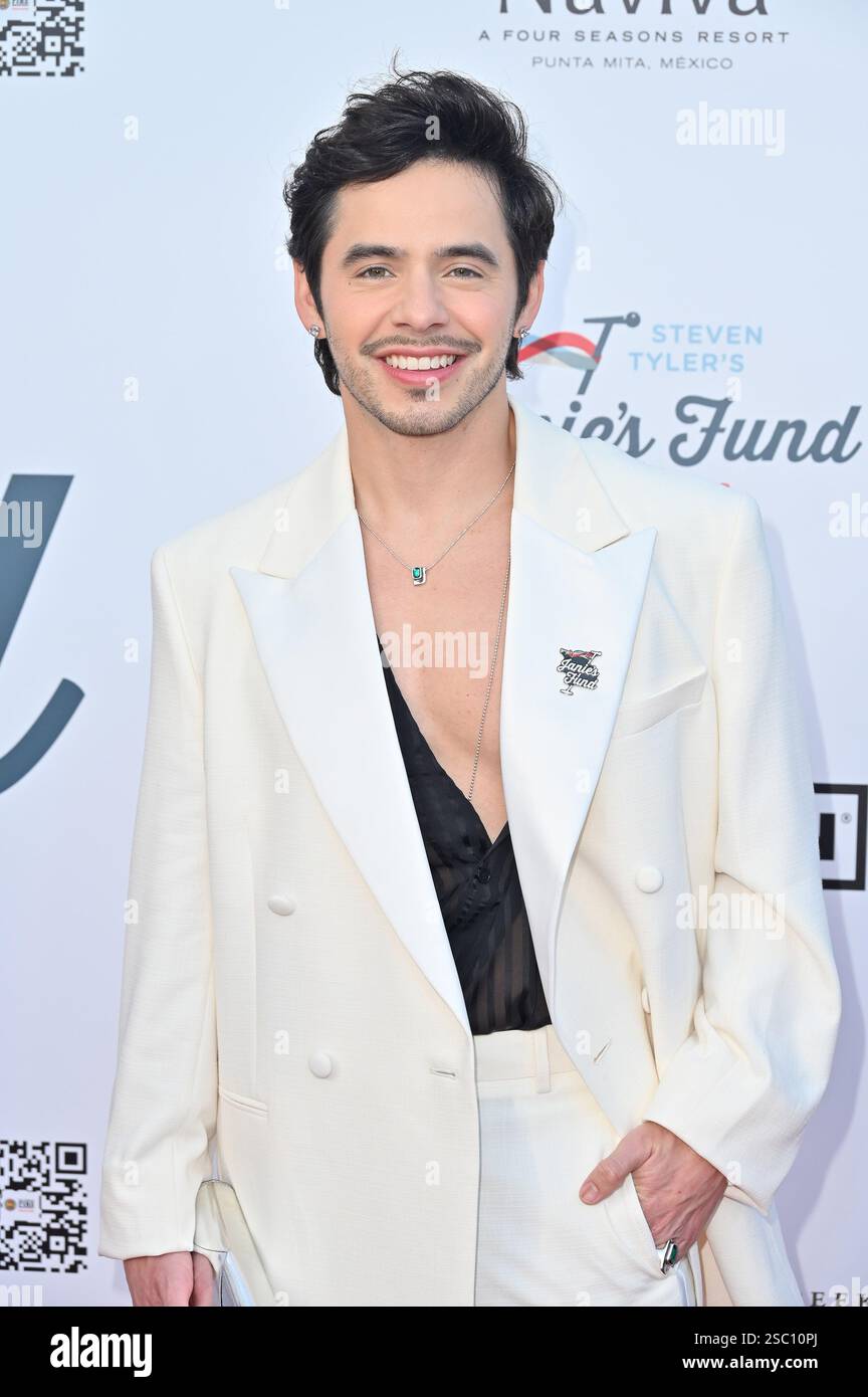 Hollywood CA USA - February 2, 2025: David Archuleta attends Steven Tyler’s 6th Annual Jam for Janie GRAMMY Awards Viewing Party Stock Photo
