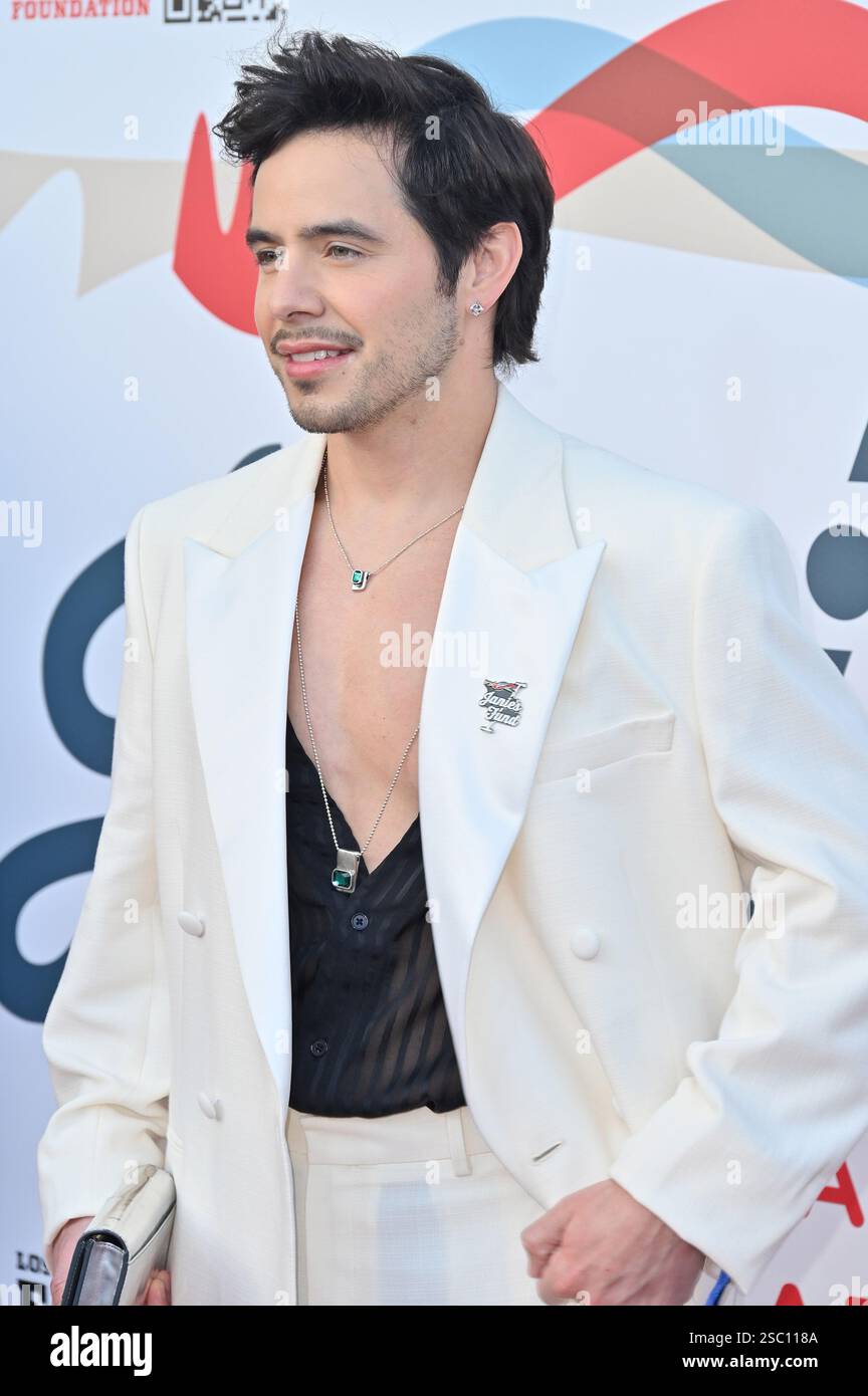 Hollywood CA USA - February 2, 2025: David Archuleta attends Steven Tyler’s 6th Annual Jam for Janie GRAMMY Awards Viewing Party Stock Photo