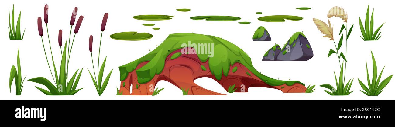 Wetland nature elements set - marsh plants with cattails, mossy clay hill, floating lily pads, gray stones covered by green growth, reed grass bunches. Swamp scene items for game landscape design. Stock Vector