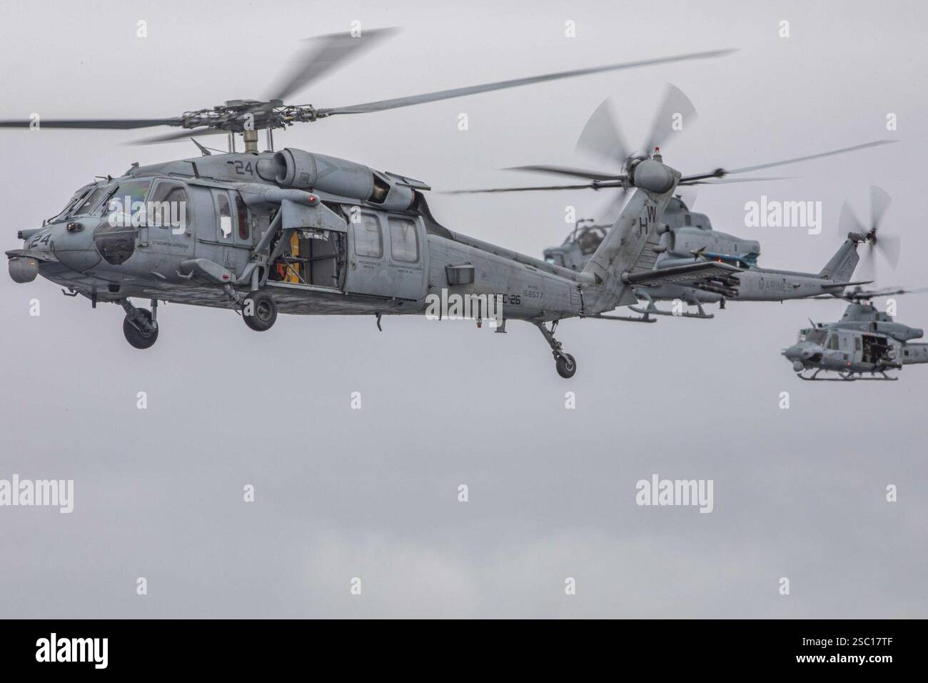 Hsc 23 hi-res stock photography and images - Alamy